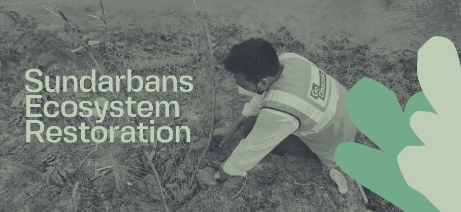 Help us restore the Sundarbans ecosystem